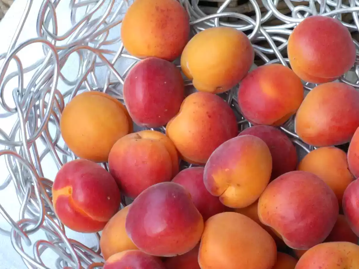 Torta alle albicocche Austriaca - foto 3