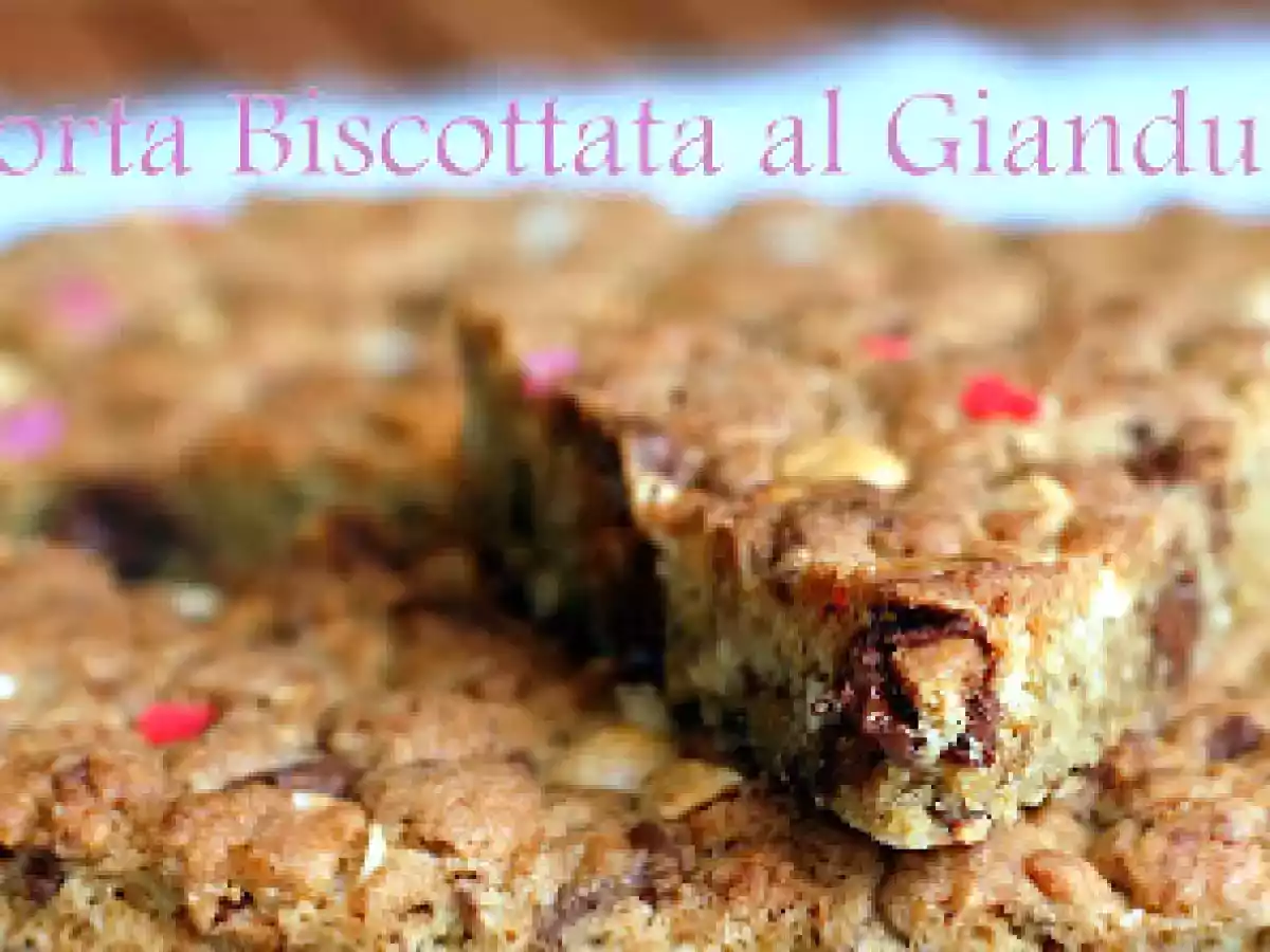 Torta biscottata al Gianduia - foto 4