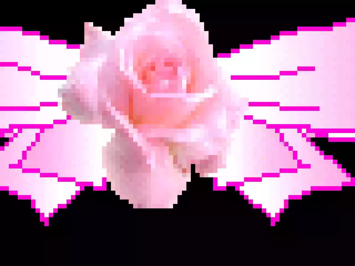 Torta della Nonna con delicata crema al limone - foto 4