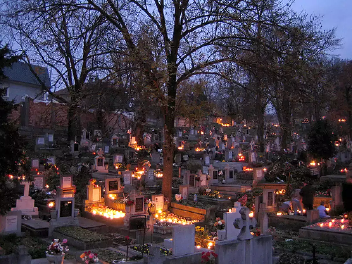 Torta della strega - Magia dolce di tutti santi - foto 4