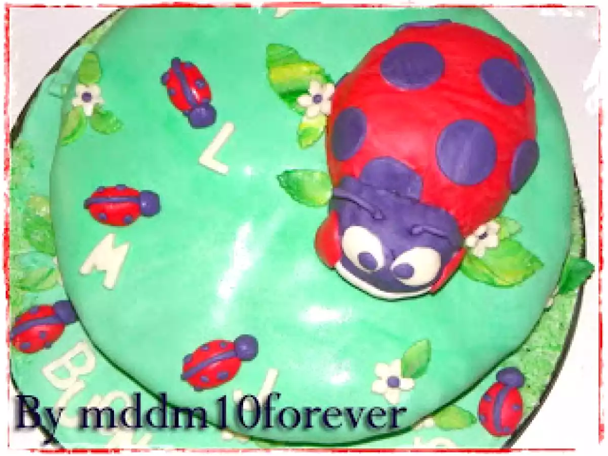 Torta di compleanno a forma di coccinella - foto 8