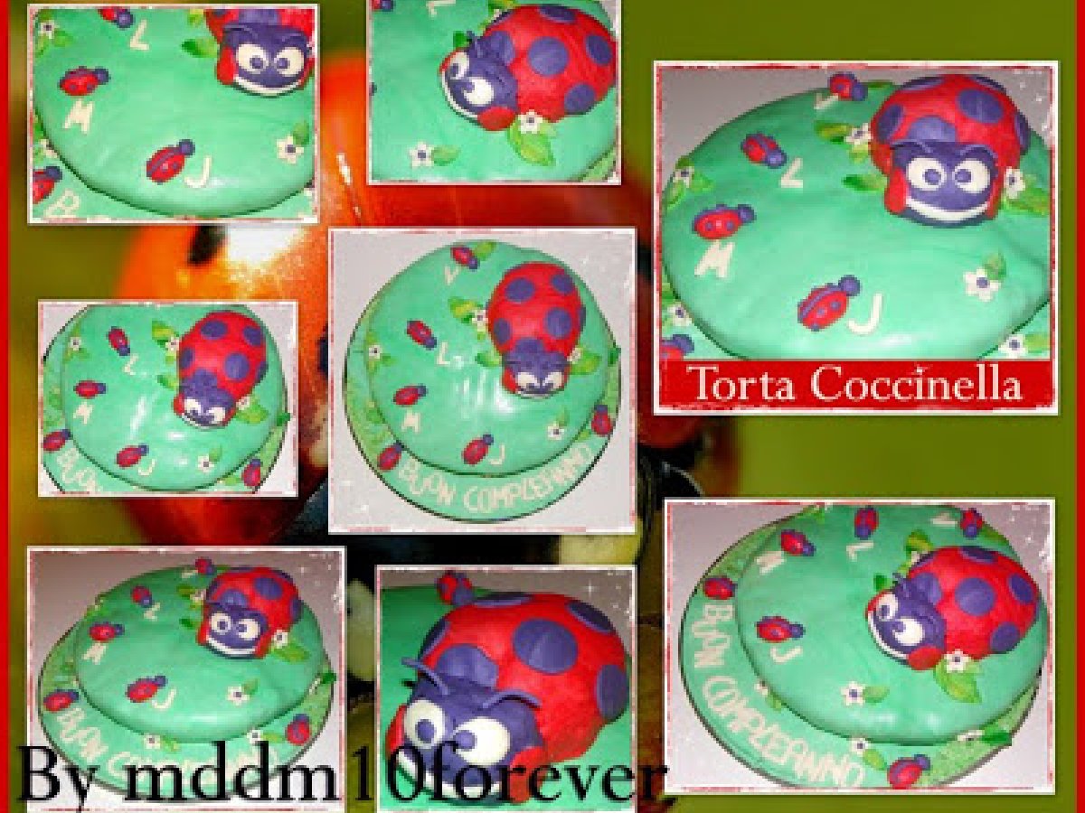 Torta di compleanno a forma di coccinella - foto 9