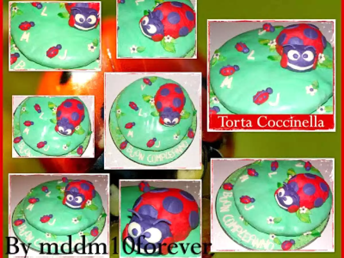 Torta di compleanno a forma di coccinella - foto 9