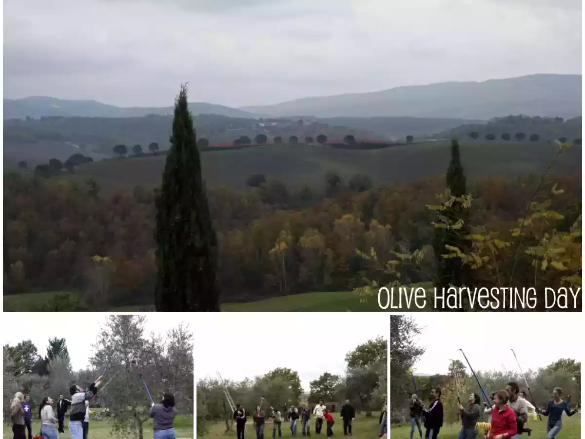Torta di grano saraceno al cioccolato - foto 4