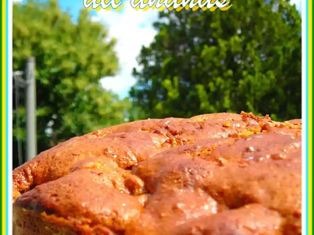 TORTA INTEGRALE ALL'ANANAS - foto 3