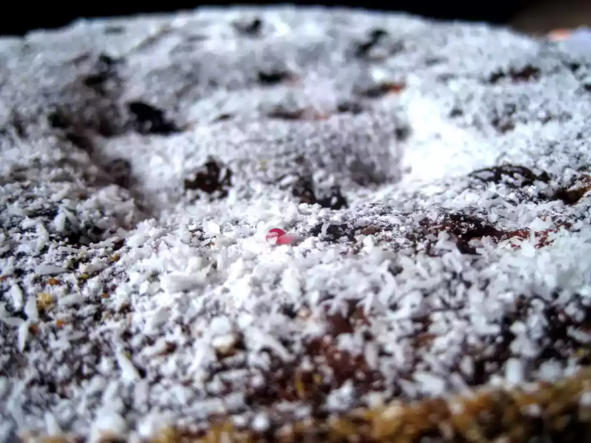 Torta morbida alle amarene sciroppate con cocco grattugiato - foto 4