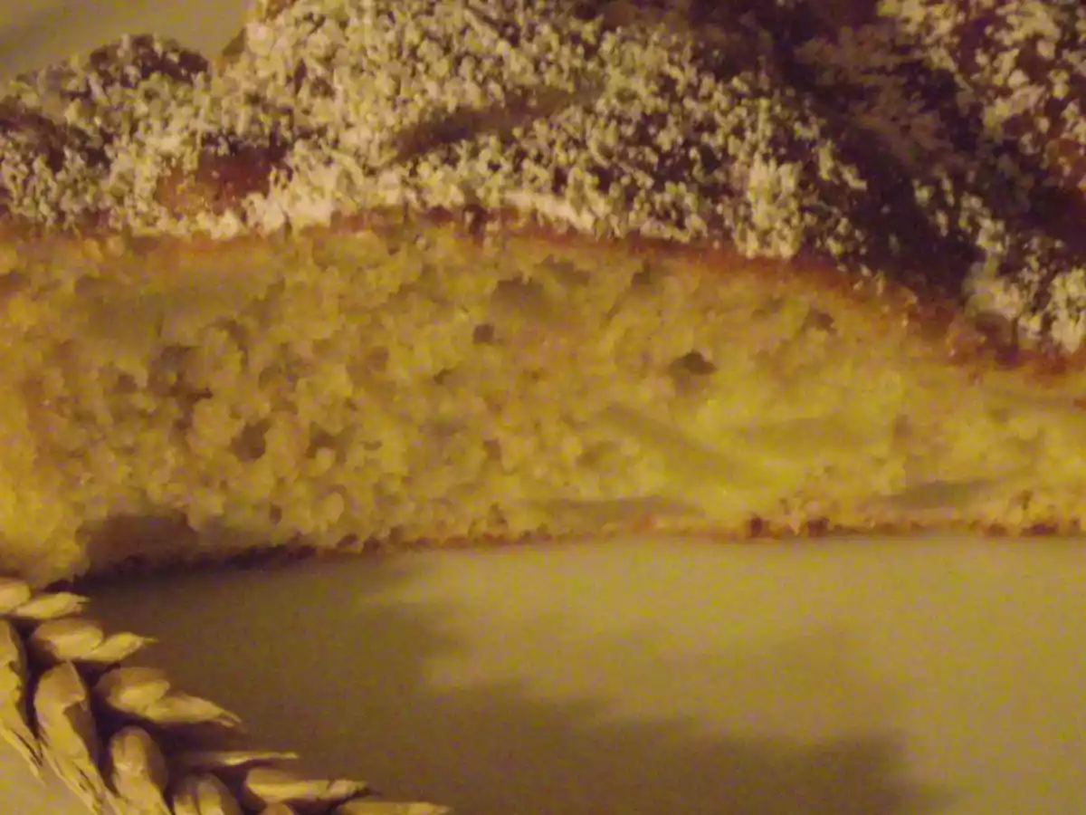 Torta morbidissima alle mele e cannella