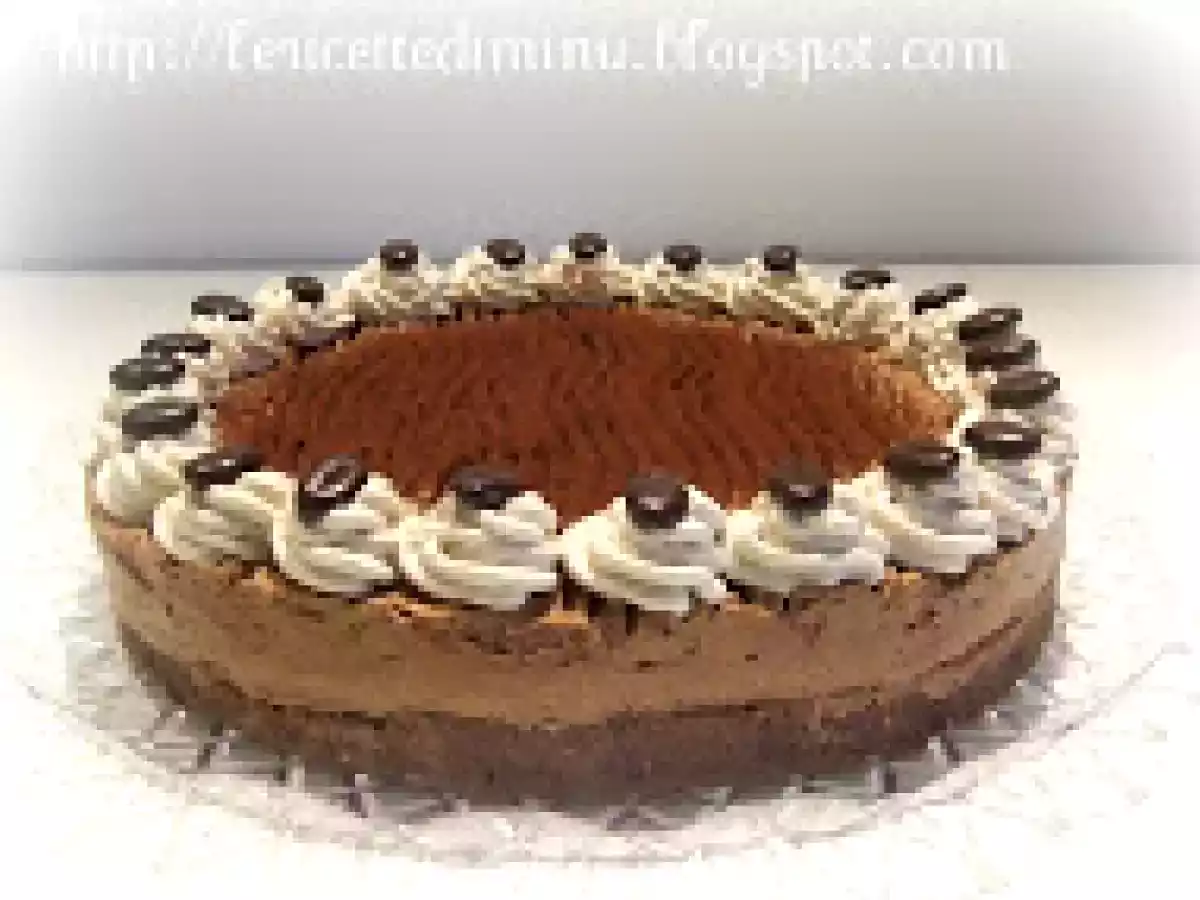 Torta semifreddo al cioccolato