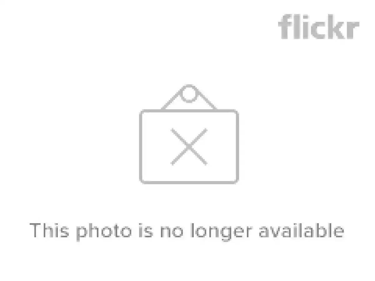 Torte salate ai Porri - foto 2