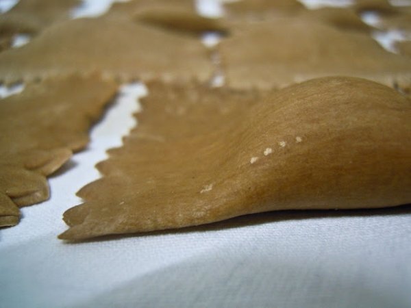 Tortelli di zucca e cacao