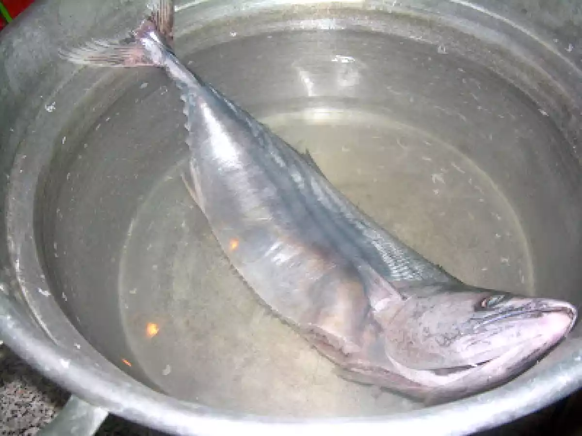 Tortino di palamite - foto 3