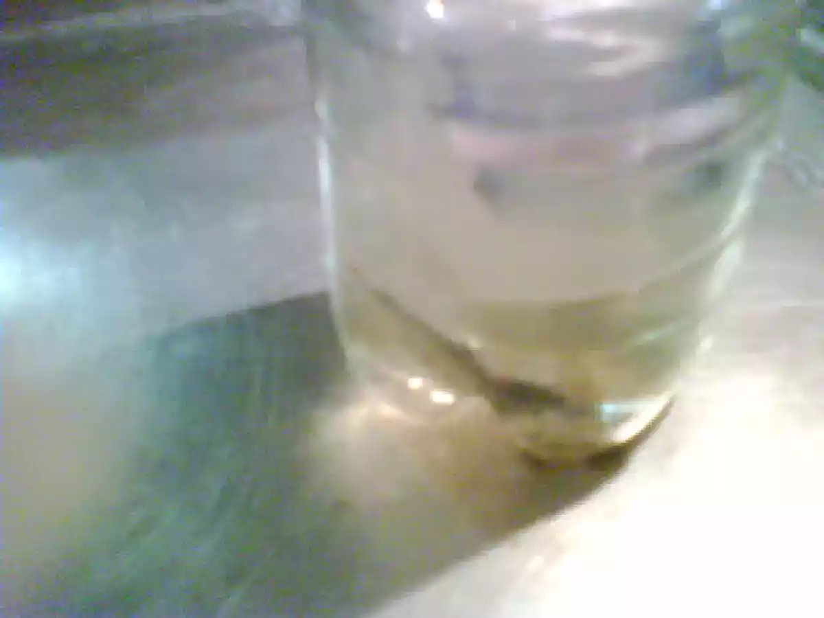 TRAPPOLA PER CARIDINA, come catturare una caridina senza fargli male e senza retino - foto 2