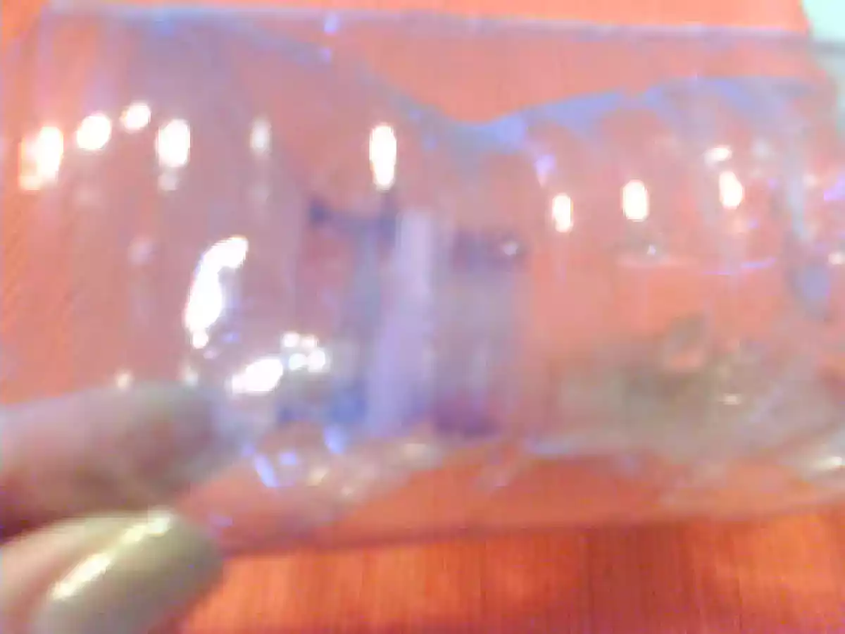 TRAPPOLA PER CARIDINA, come catturare una caridina senza fargli male e senza retino - foto 3