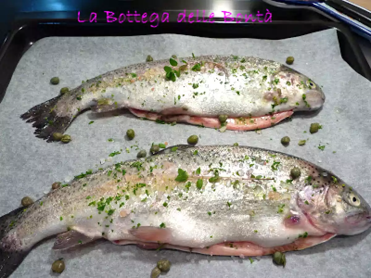 TROTE SALMONATE AL SALE ROSA DELL'HIMALAYA