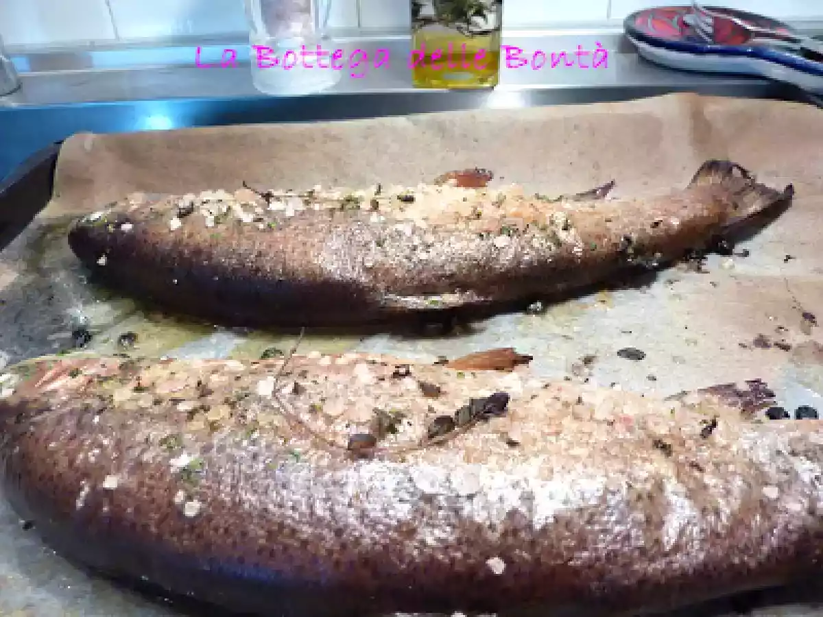 TROTE SALMONATE AL SALE ROSA DELL'HIMALAYA - foto 2