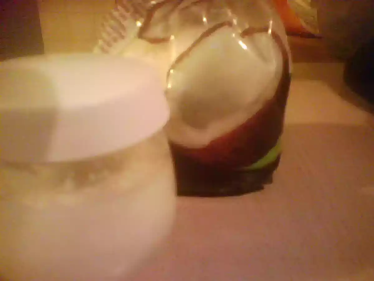 YOGURT AL COCCO AUTOPRODOTTO - foto 2