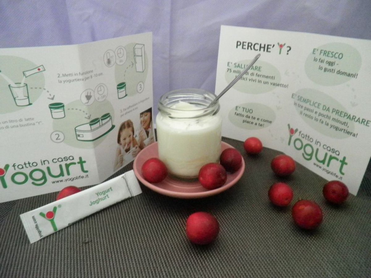 Yogurt Naturale fatto in casa con latte di Capra - foto 6