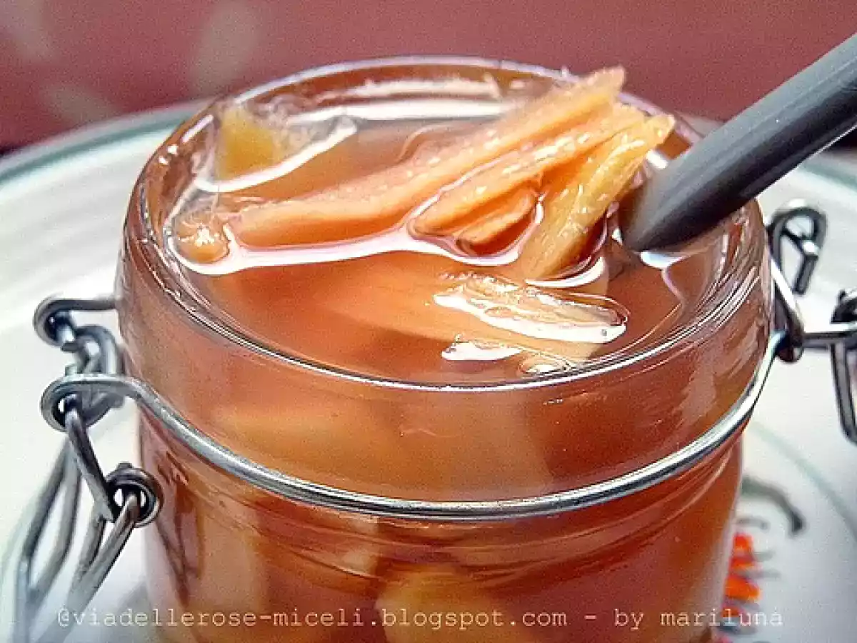 Zenzero marinato e le 5 dipendenze