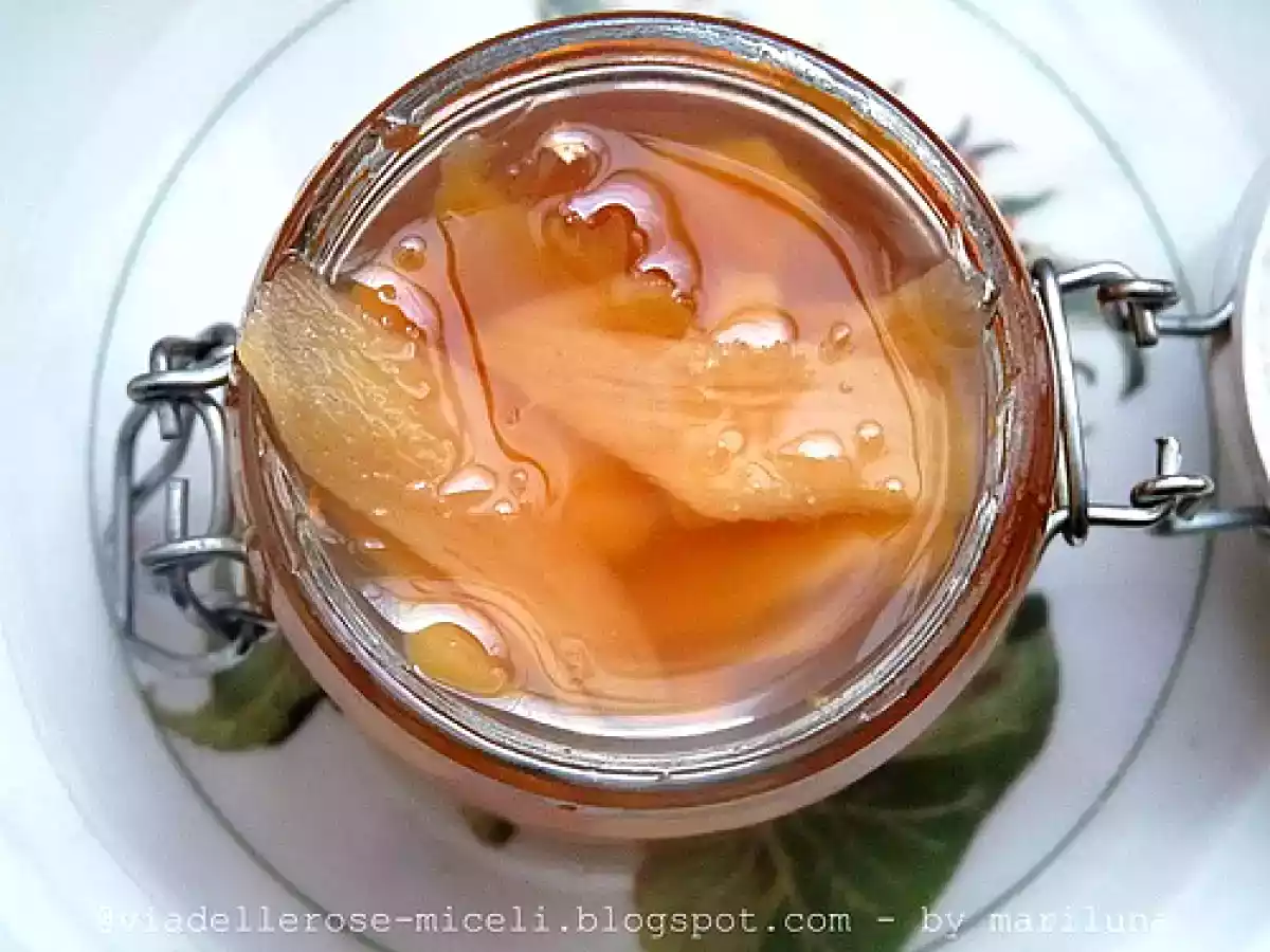 Zenzero marinato e le 5 dipendenze - foto 3