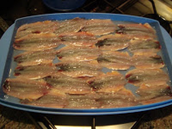 Zucchine e alici marinate, foto 6