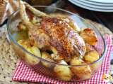 Ricette con il pollo: idee facili, veloci e gustose